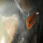 2018-01-22-PHOTO-00002824