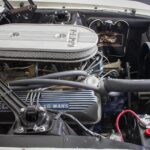39780301-21.jpg
