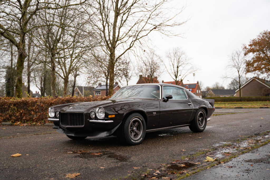 50374194-14.jpg