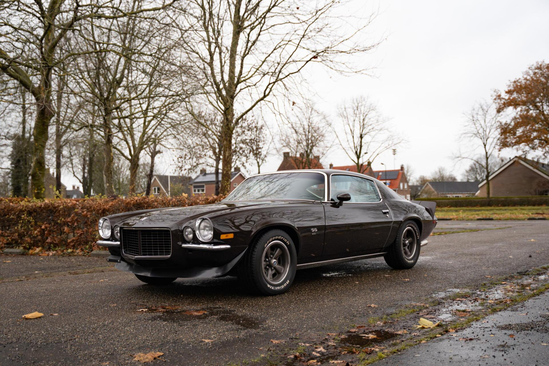 50374194-14.jpg