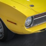 53185931-20.jpg