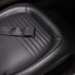 53185931-50.jpg