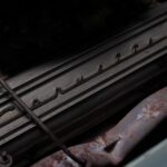 53186900-27.jpg