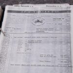 53186900-51.jpg