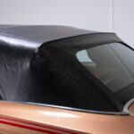 53187120-28.jpg