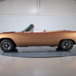 53187120-5.jpg