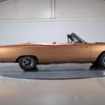 53187120-9.jpg